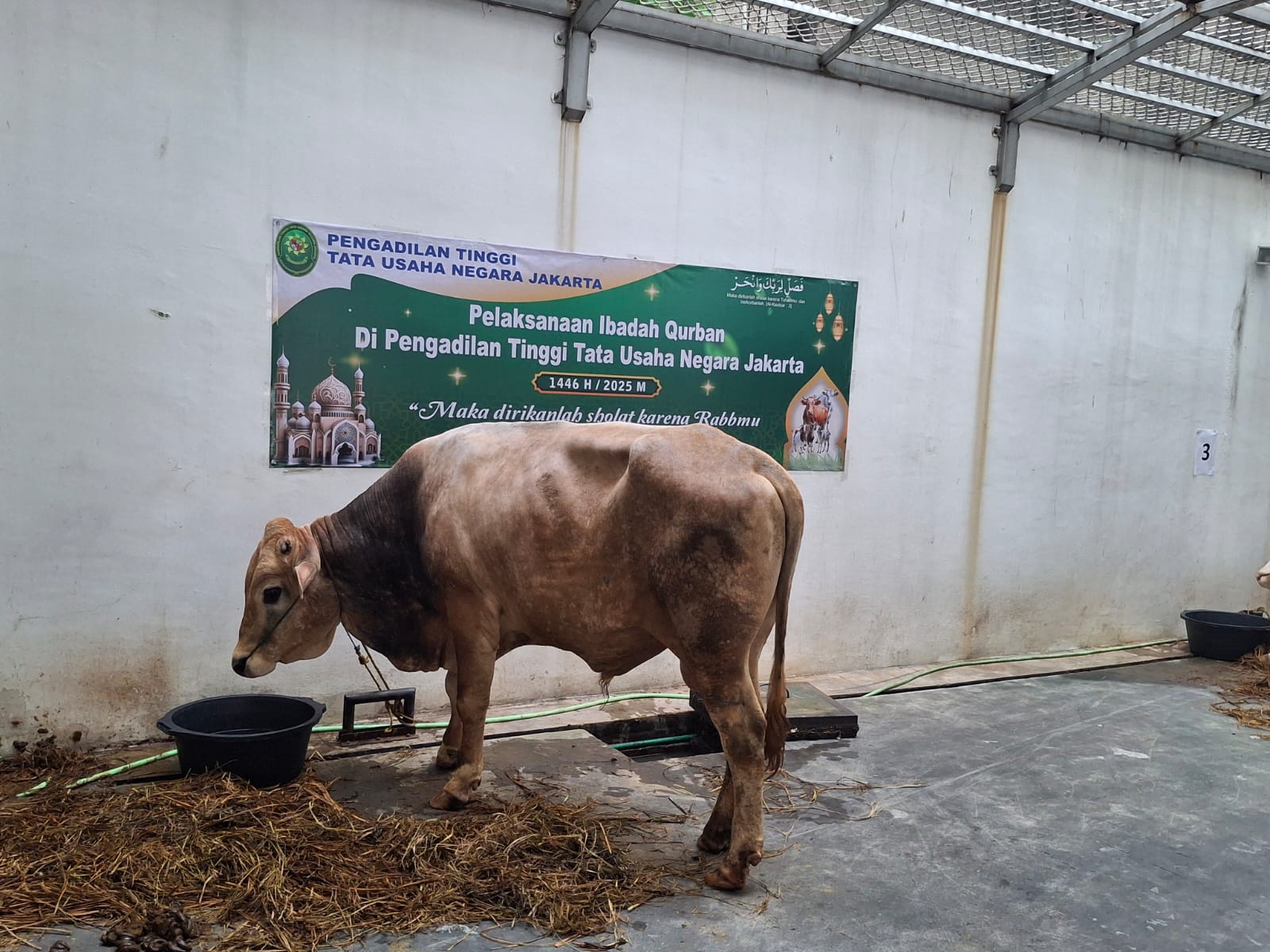 pelaksanaan-penyembe ...